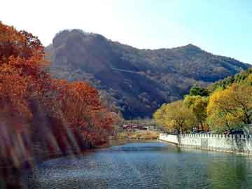 大三巴一肖二码最准，九寨沟网站建设